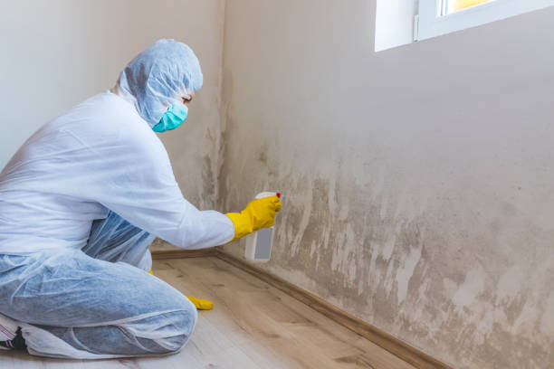Licensed Crawl Space Mold Removal service in Seffner, FL - WQB Mold Removal