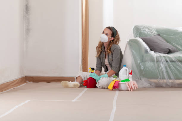 Reliable Crawl Space Mold Removal contractor in Seffner, FL by WQB Mold Removal